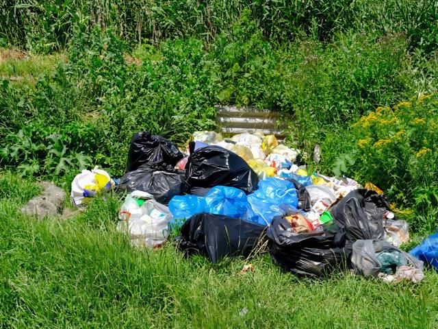 Garden Clearance Services in Hull