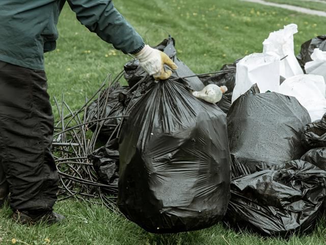 Garden Clearance Services in Hull