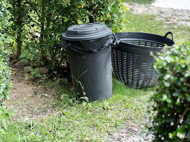 Garden Clearance Services in Hull