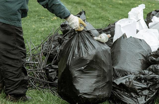 Garden Clearance Services in Hull